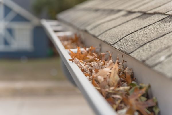 Leaf Barrier Installation in North Richland Hills